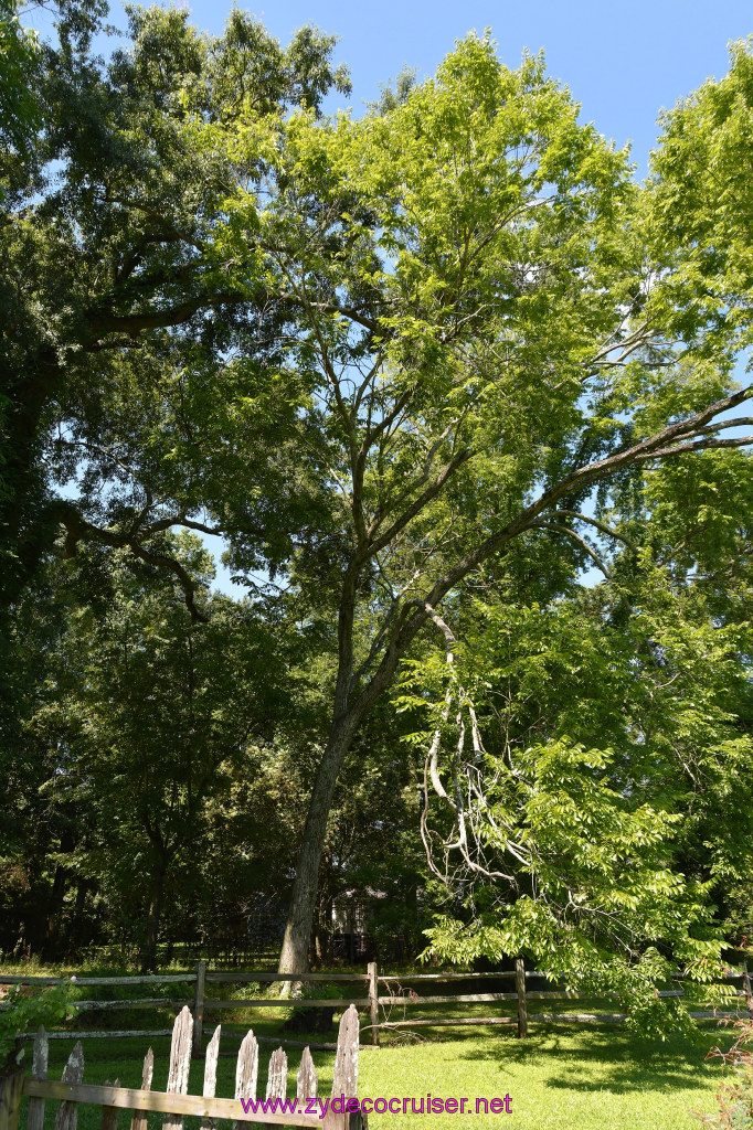 068: Magnolia Mound Plantation, Baton Rouge, LA