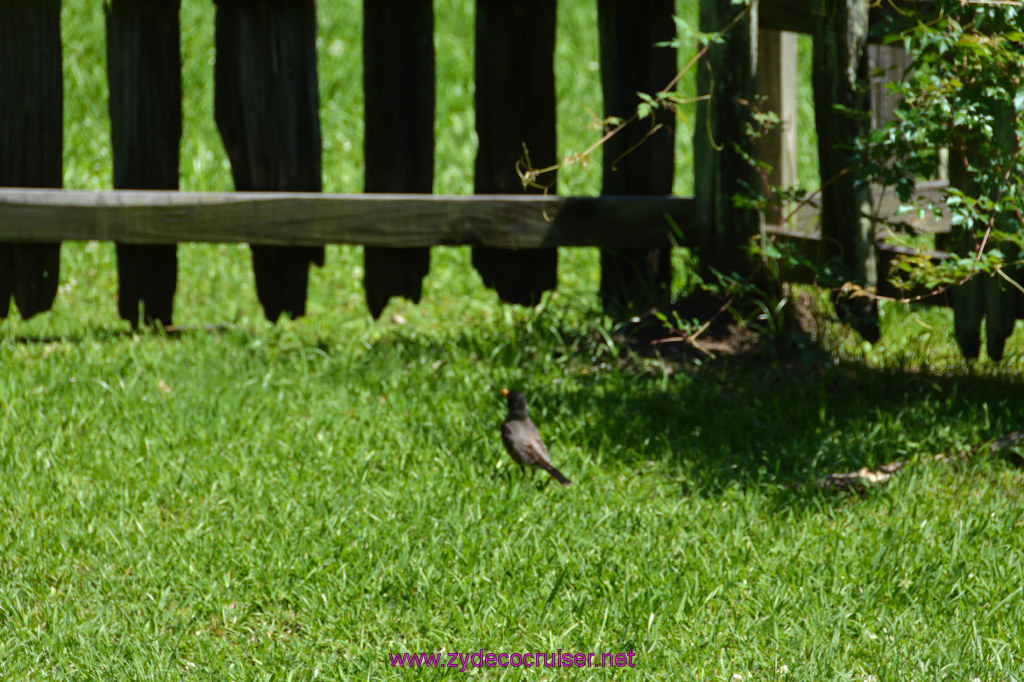 073: Magnolia Mound Plantation, Baton Rouge, LA