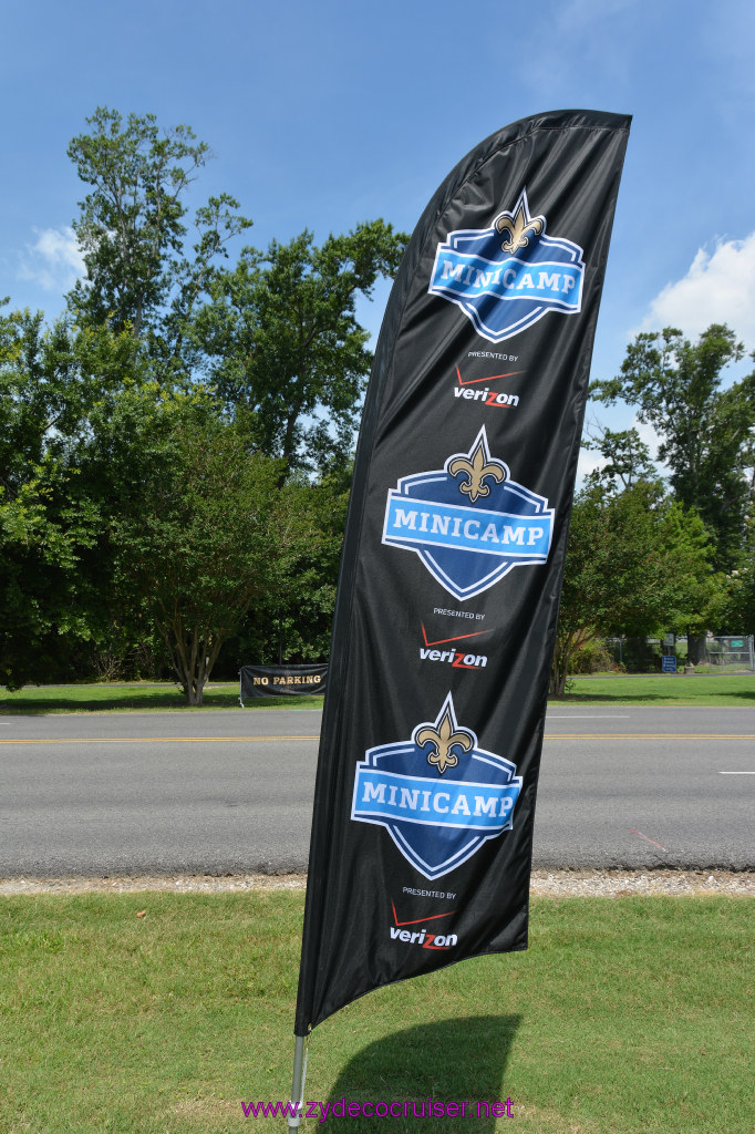 012: New Orleans Saints Mini-Camp, Kenner, June 2014, 