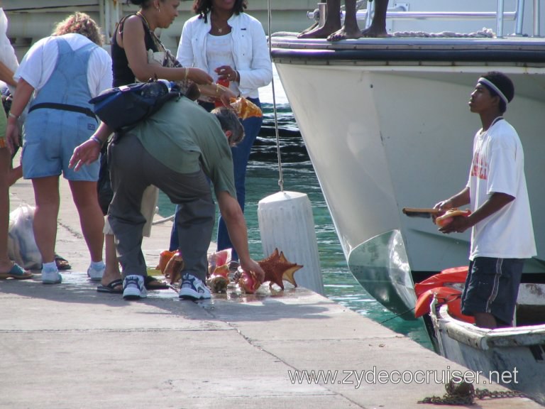 Conch shells for sale, Nassau, Bahamas