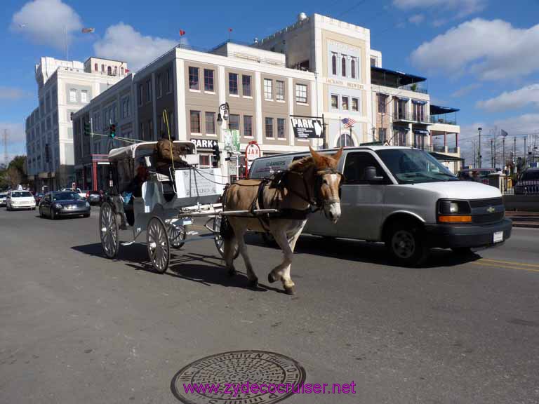 128: Mule Buggy and Jax Brewery, New Orleans, LA