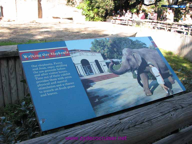 026: Audubon Zoo, New Orleans, Louisiana, 