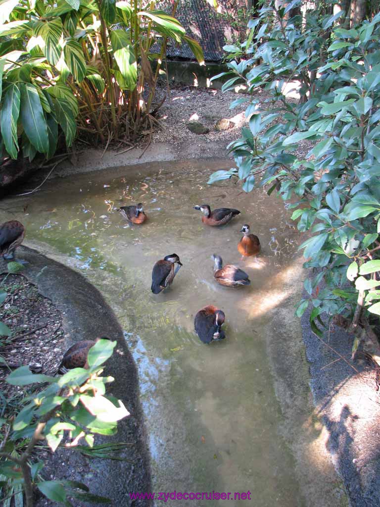 040: Audubon Zoo, New Orleans, Louisiana, 