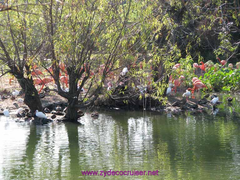 045: Audubon Zoo, New Orleans, Louisiana, 