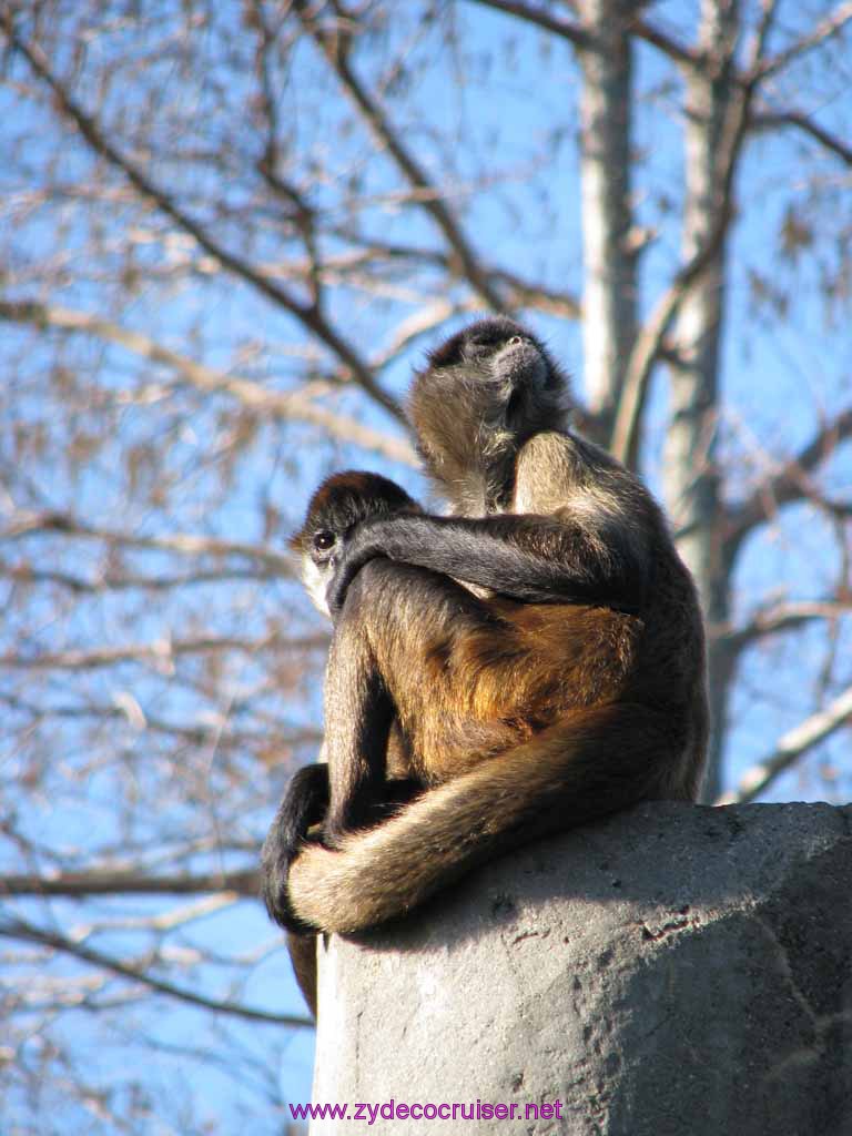 060: Audubon Zoo, New Orleans, Louisiana, 