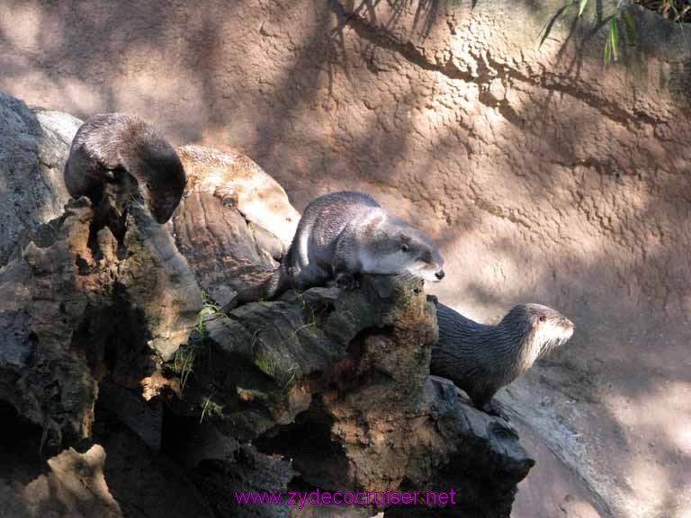 103: Audubon Zoo, New Orleans, Louisiana, 