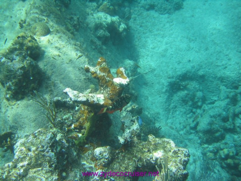 053: Carnival Liberty, Tortola, Patouche, Extreme Machine, The Baths, Virgin Gorda, Snorkeling