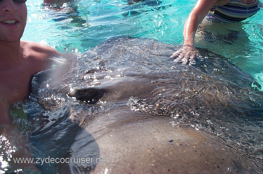 Stingray Sandbar, Grand Cayman, 2001