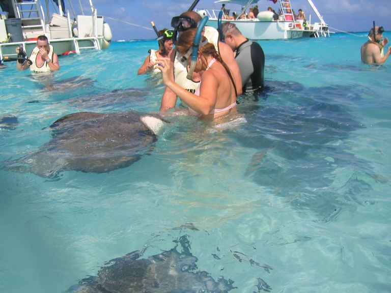 Stingray Sandbar, Grand Cayman, Nov 2003