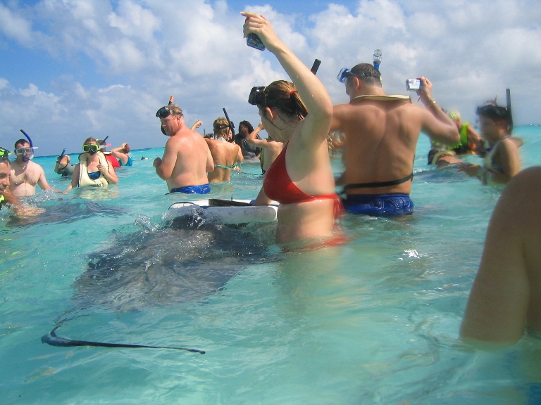 Stingray Sandbar, Grand Cayman, Nov 2003