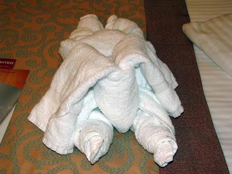 207: Carnival Splendor, South America Cruise, Towel animal