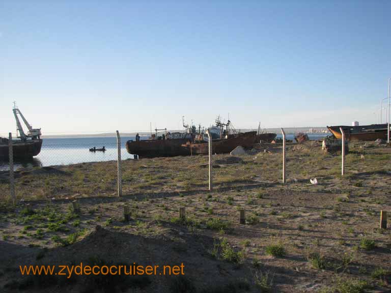 009: Carnival Splendor, Puerto Madryn, Penguins Paradise, Punta Tombo Tour - 