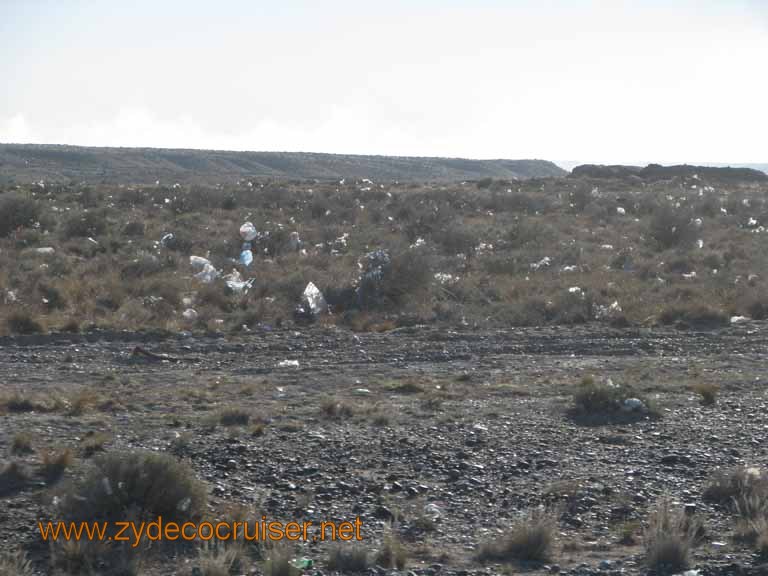 019: Carnival Splendor, Puerto Madryn, Penguins Paradise, Punta Tombo Tour - 