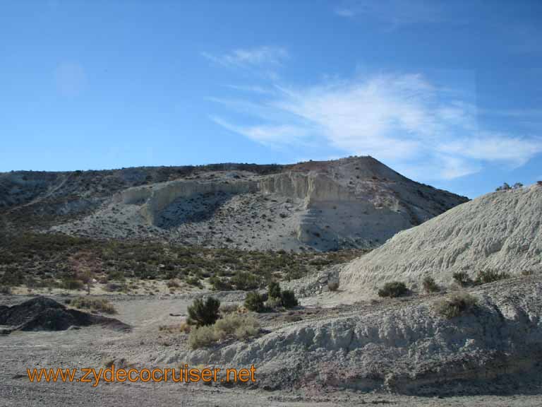 037: Carnival Splendor, Puerto Madryn, Penguins Paradise, Punta Tombo Tour - 