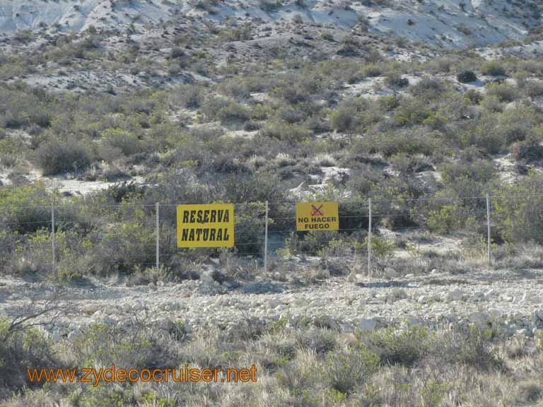 039: Carnival Splendor, Puerto Madryn, Penguins Paradise, Punta Tombo Tour - 