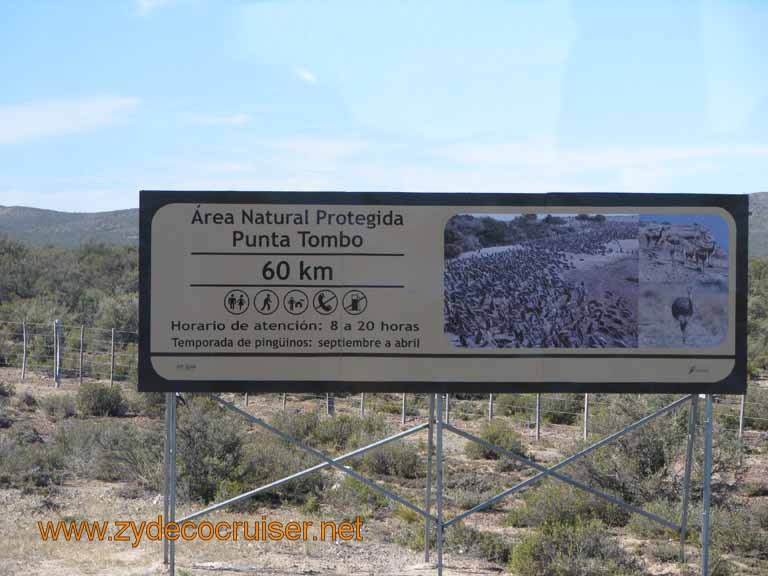 040: Carnival Splendor, Puerto Madryn, Penguins Paradise, Punta Tombo Tour - 