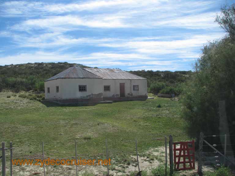 043: Carnival Splendor, Puerto Madryn, Penguins Paradise, Punta Tombo Tour - 