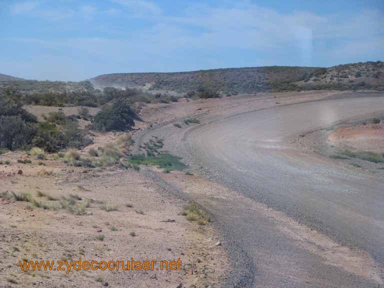 046: Carnival Splendor, Puerto Madryn, Penguins Paradise, Punta Tombo Tour - 