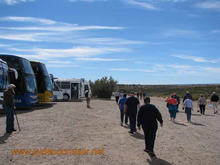 050: Carnival Splendor, Puerto Madryn, Penguins Paradise, Punta Tombo Tour - 