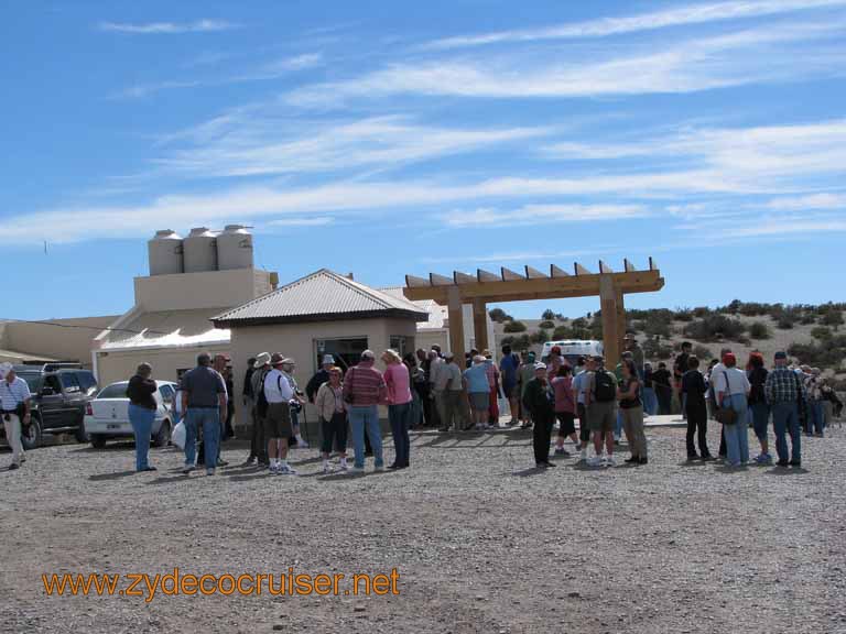 052: Carnival Splendor, Puerto Madryn, Penguins Paradise, Punta Tombo Tour - 