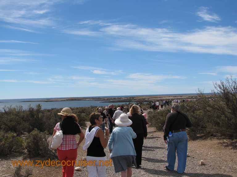 068: Carnival Splendor, Puerto Madryn, Penguins Paradise, Punta Tombo Tour - 