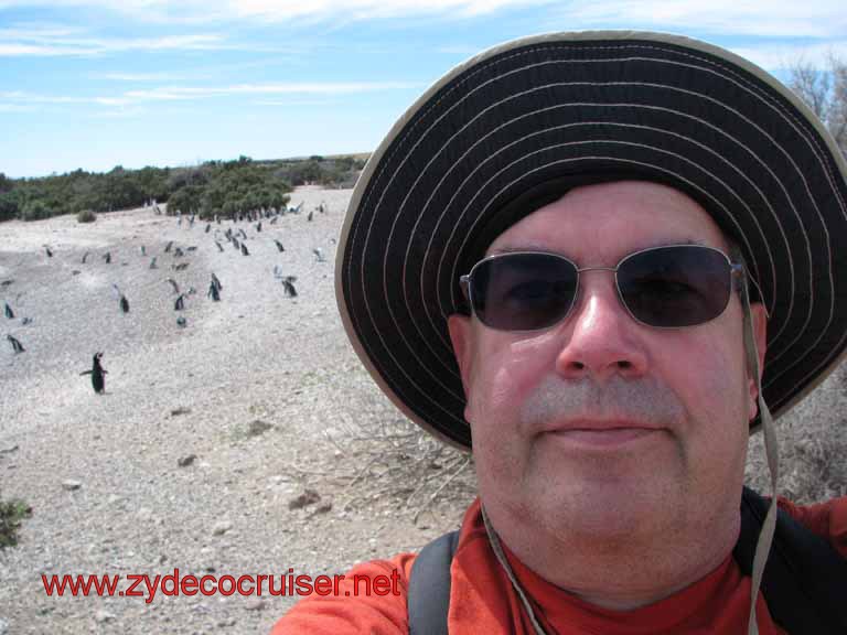 181: Carnival Splendor, Puerto Madryn, Penguins Paradise, Punta Tombo Tour - 