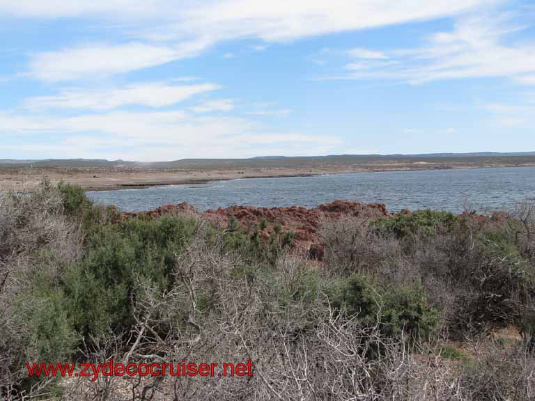 189: Carnival Splendor, Puerto Madryn, Penguins Paradise, Punta Tombo Tour - 