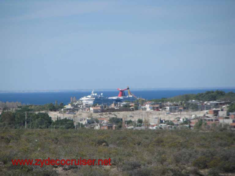 258: Carnival Splendor, Puerto Madryn, Penguins Paradise, Punta Tombo Tour - 