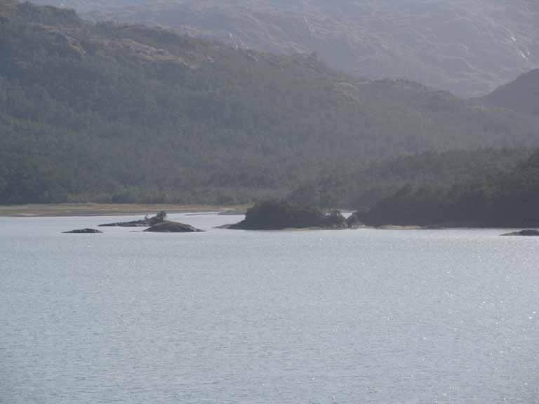 024: Carnival Splendor, South America Cruise, 