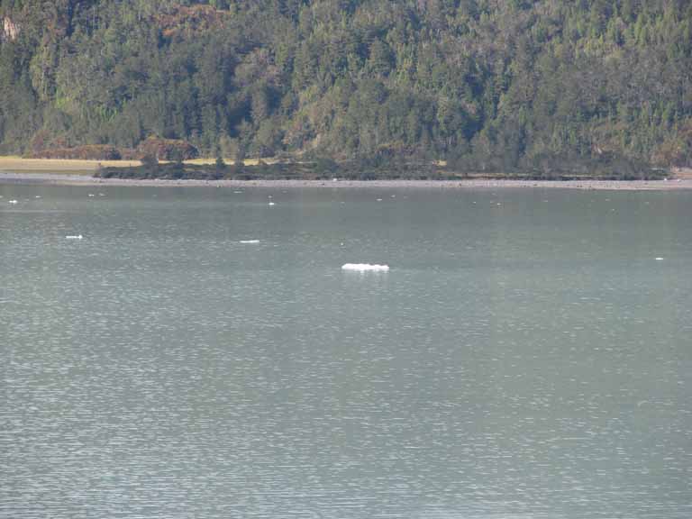 033: Carnival Splendor, South America Cruise, 