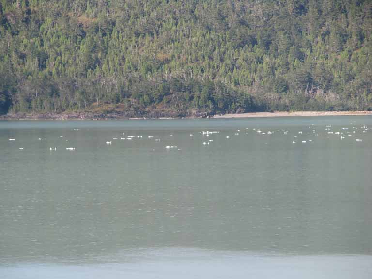 035: Carnival Splendor, South America Cruise, 