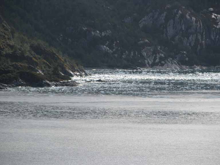 058: Carnival Splendor, South America Cruise, 