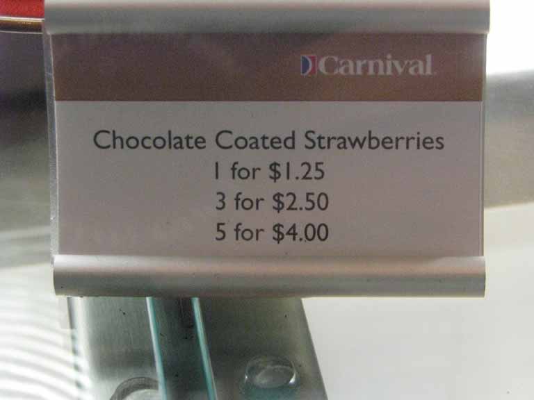 095: Carnival Splendor, South America Cruise, 