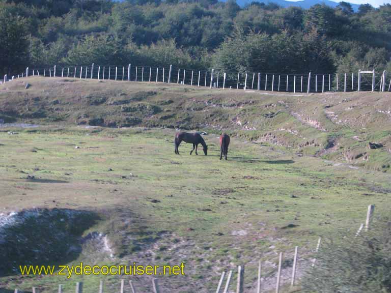 064: Carnival Splendor, Ushuaia, Tierra del Fuego, 