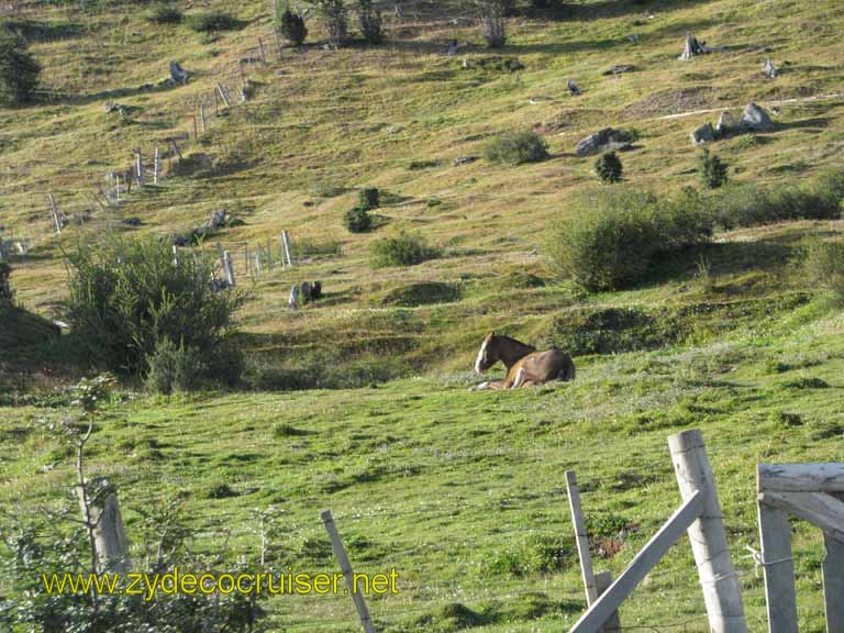 068: Carnival Splendor, Ushuaia, Tierra del Fuego, 