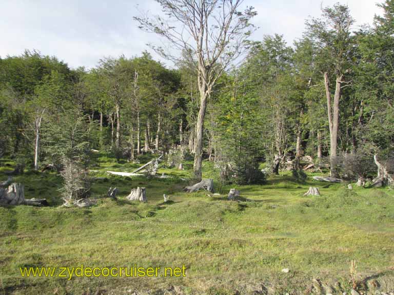 072: Carnival Splendor, Ushuaia, Tierra del Fuego, 