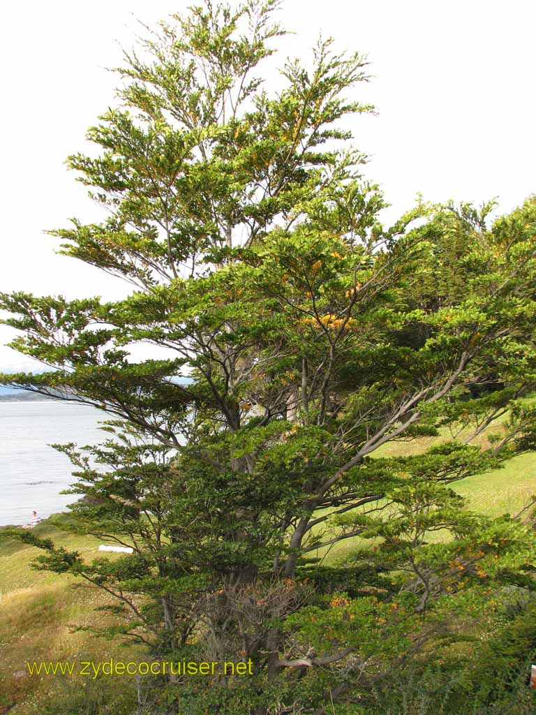 076: Carnival Splendor, Ushuaia, Tierra del Fuego, 