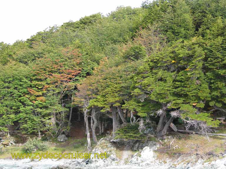 090: Carnival Splendor, Ushuaia, Tierra del Fuego, 