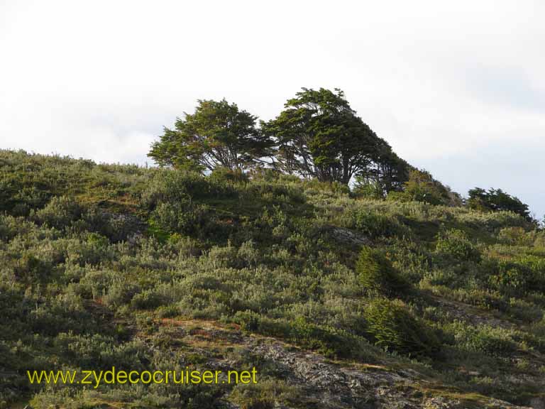 098: Carnival Splendor, Ushuaia, Tierra del Fuego, 