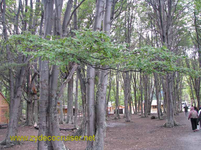 126: Carnival Splendor, Ushuaia, Tierra del Fuego, 