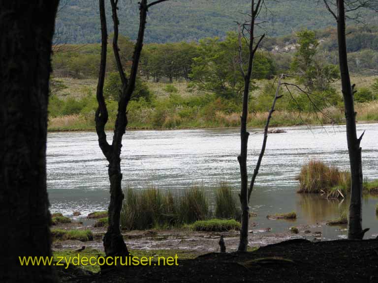 128: Carnival Splendor, Ushuaia, Tierra del Fuego, 