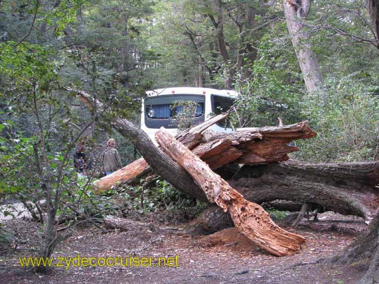 147: Carnival Splendor, Ushuaia, Tierra del Fuego, 