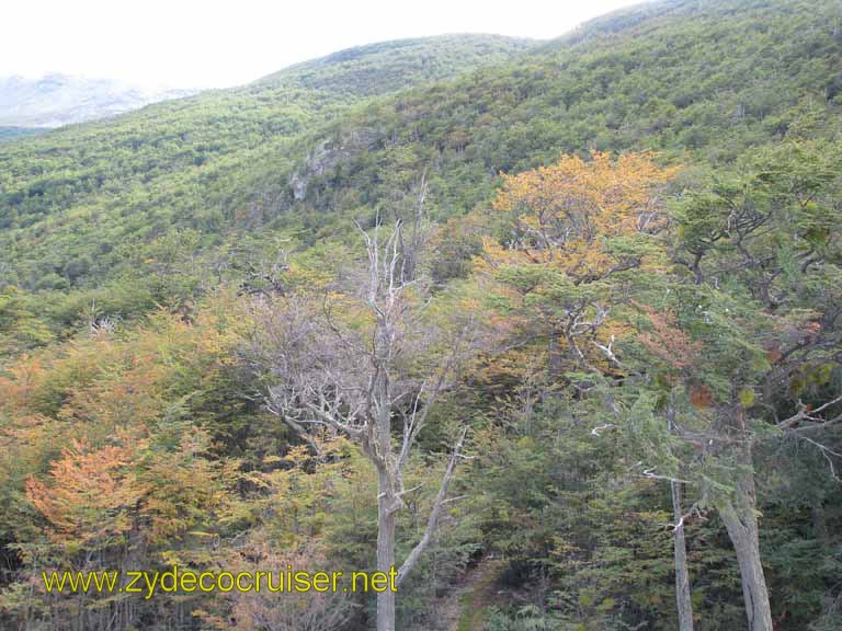 156: Carnival Splendor, Ushuaia, Tierra del Fuego, 