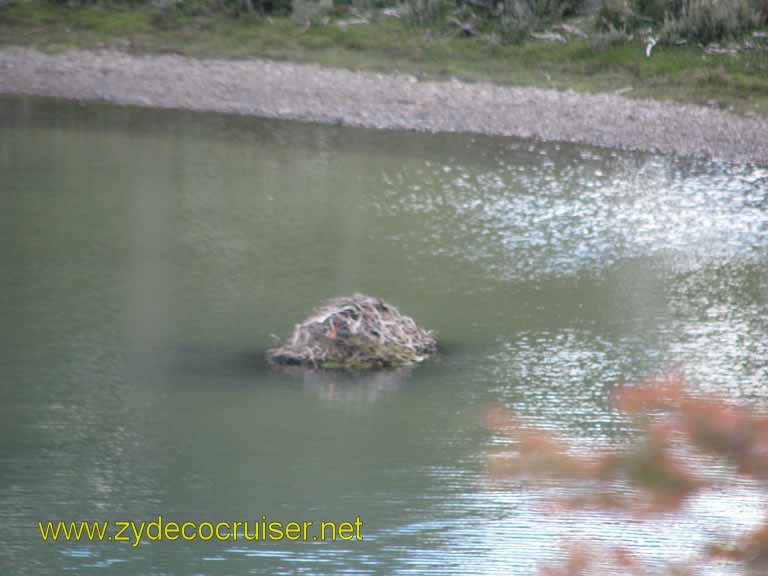 186: Carnival Splendor, Ushuaia, Tierra del Fuego, 