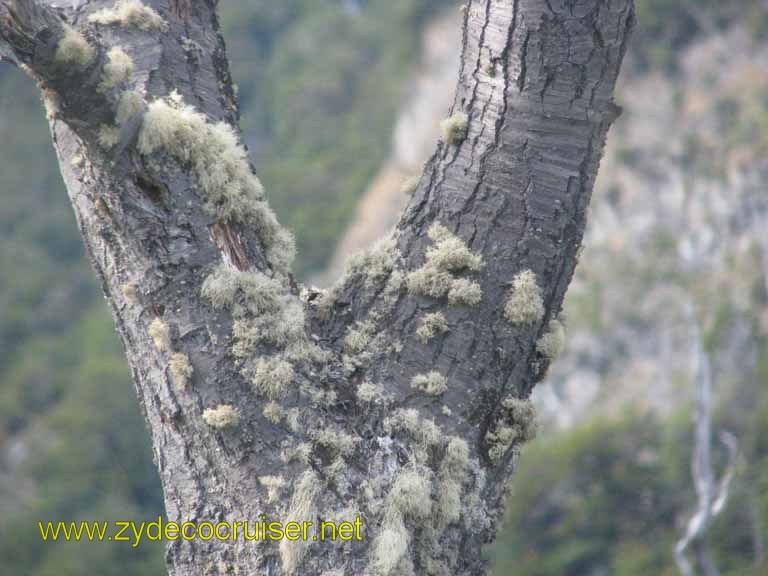 190: Carnival Splendor, Ushuaia, Tierra del Fuego, 