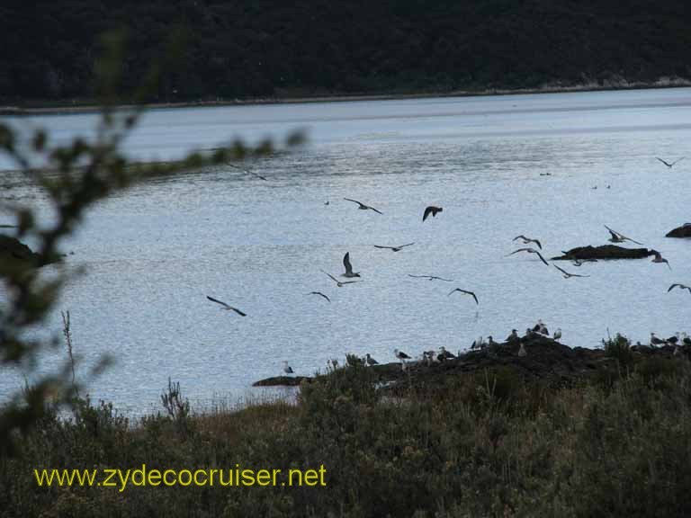 200: Carnival Splendor, Ushuaia, Tierra del Fuego, 