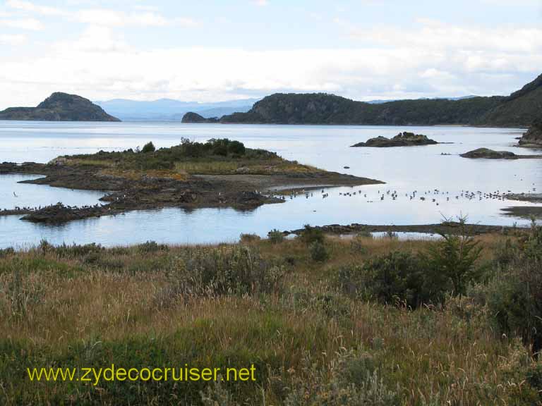 201: Carnival Splendor, Ushuaia, Tierra del Fuego, 