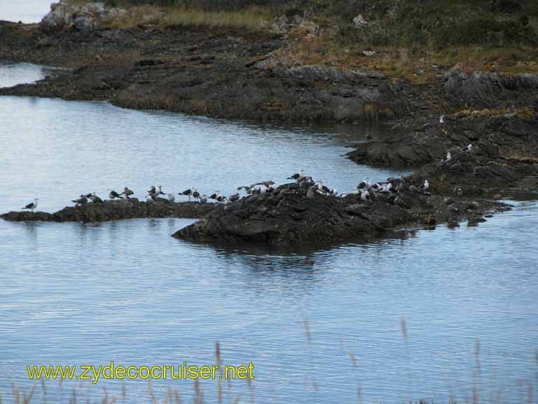 205: Carnival Splendor, Ushuaia, Tierra del Fuego, 