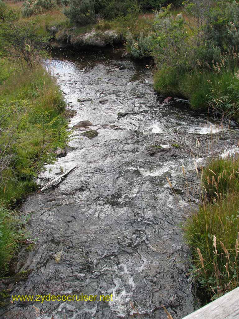 210: Carnival Splendor, Ushuaia, Tierra del Fuego, 