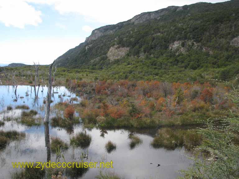 221: Carnival Splendor, Ushuaia, Tierra del Fuego, 